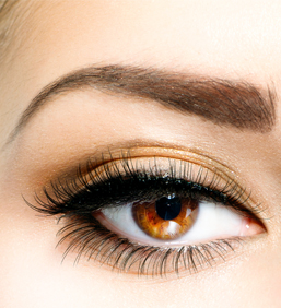 Eye brow restoration Eye brow restoration